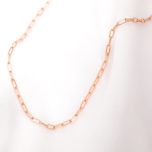 ⚜️[𝟯/$𝟮𝟴]⚜️NEW Paperclip Chain Stainless Steel Necklace - Picture 12 of 15